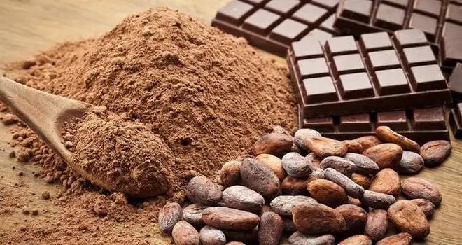 Cocoa Processing Company eyes AfCFTA to expand operations across Africa