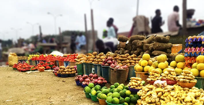 Ghana Statistical Service calls for targeted approach to tackling food insecurity