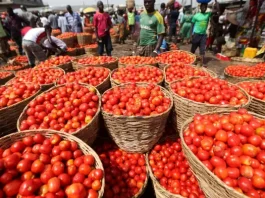 Burkina Faso lifts tomato export ban, easing pressure on Ghanaian markets