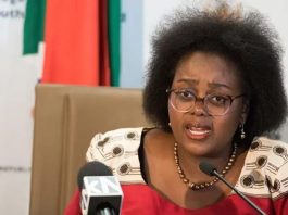 ’Our artistes are losing international shows’ – South Africa’s Justice Minister raises alarm over xenophobia backlash